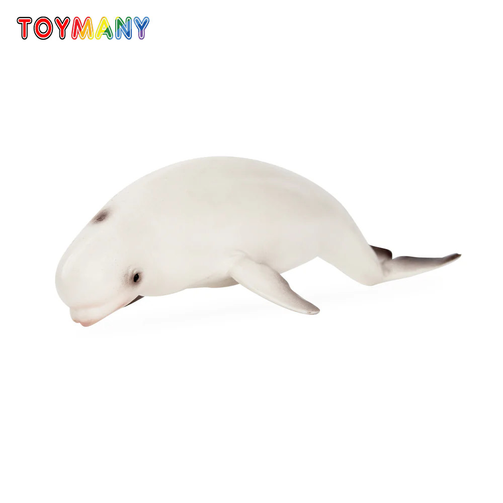 Toymany Simulation Beluga Whal - đánh giá và giá Kids Toys Under $5