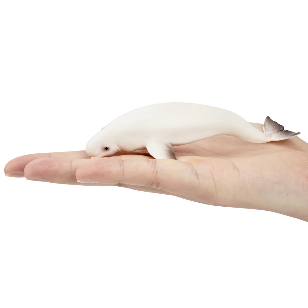 Toymany Simulation Beluga Whal - đánh giá và giá Kids Toys Under $5