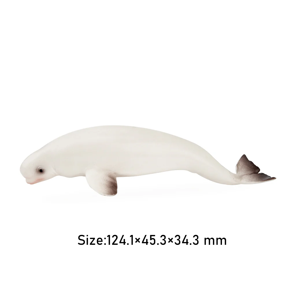 Toymany Simulation Beluga Whal - đánh giá và giá Kids Toys Under $5