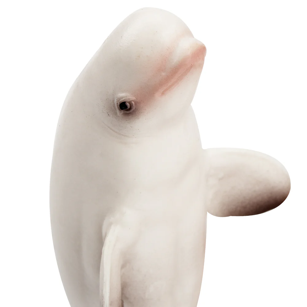 Toymany Simulation Beluga Whal - đánh giá và giá Kids Toys Under $5