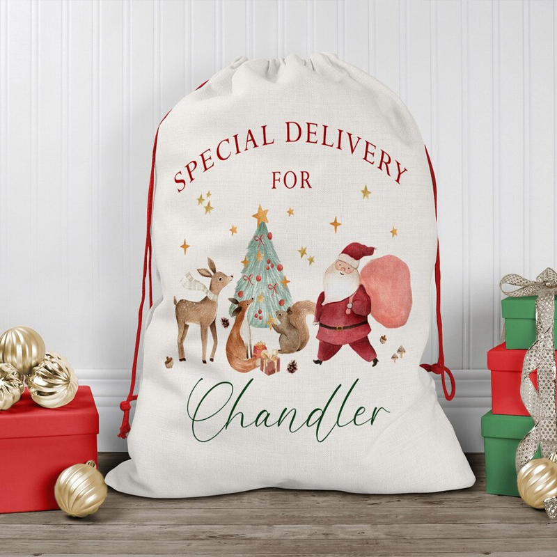 Personalised Name Christmas Dr - đánh giá và giá Kids Toys Names