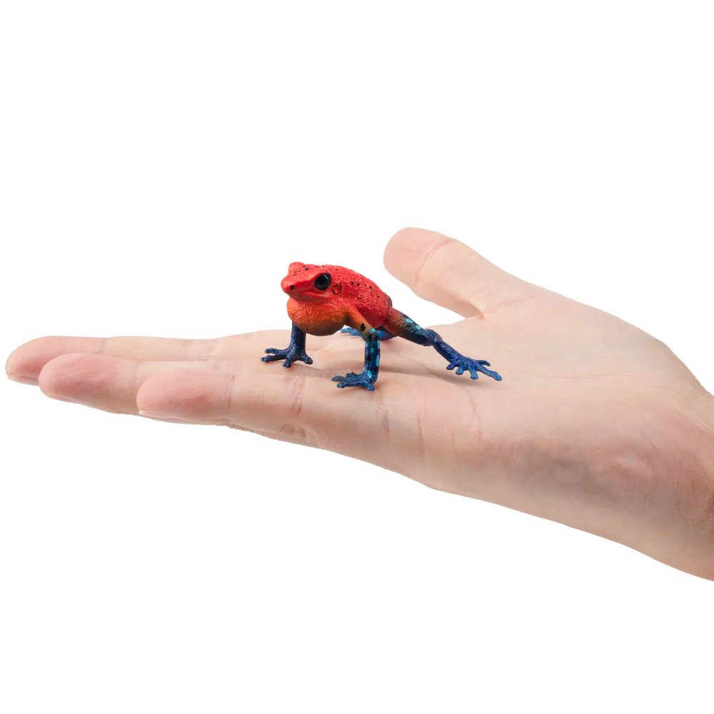 Toymany Simulation Strawberry  - đánh giá và giá Kids Toys Under $5