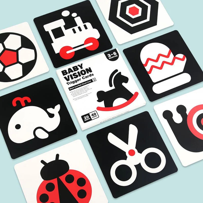 Early Education Toys For Baby  - đánh giá và giá Educational Flash Card