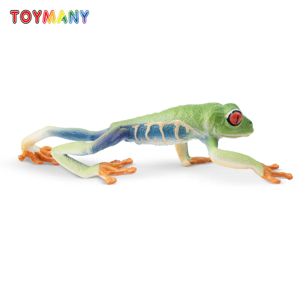 Toymany Simulation Red-eyed Tr - đánh giá và giá Kids Toys Under $5
