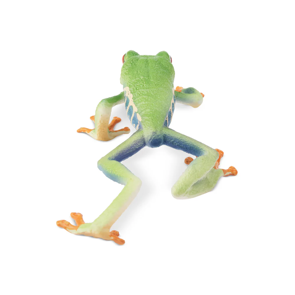 Toymany Simulation Red-eyed Tr - đánh giá và giá Kids Toys Under $5